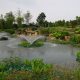 生態(tài)滯留塘