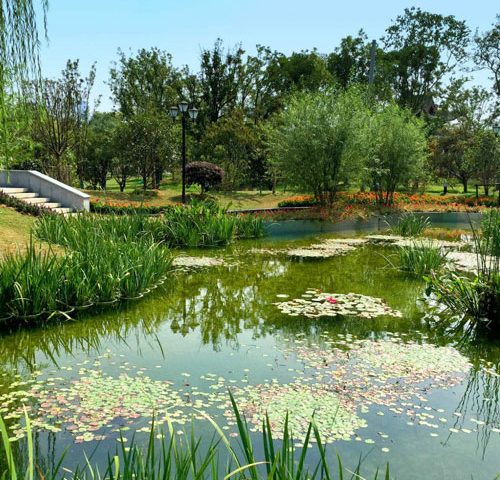 雨水花園